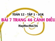 Bài 7 trang 46 Toán 12 tập 1 Cánh Diều